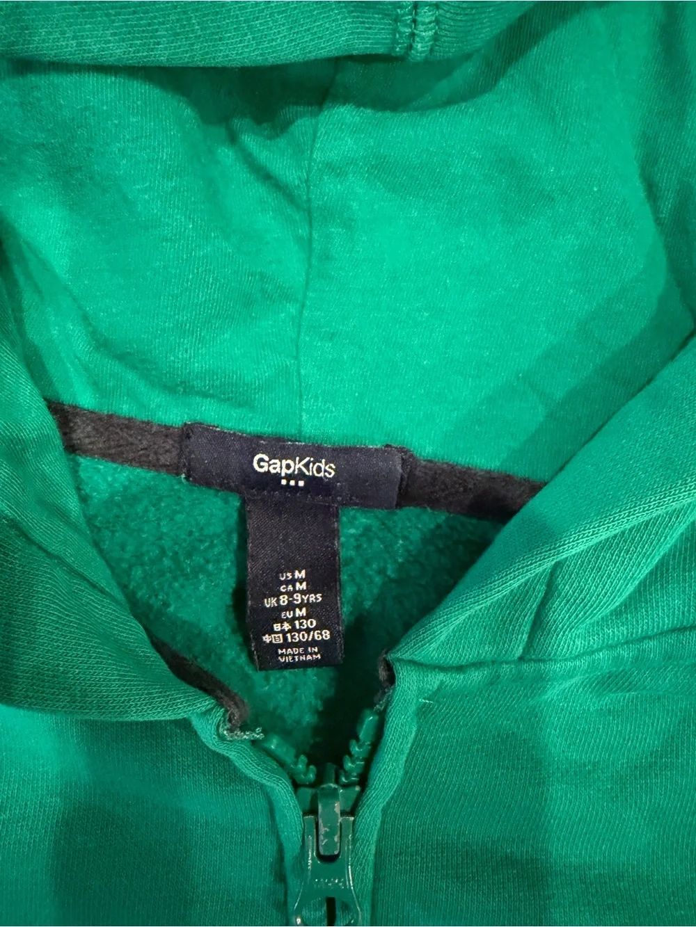Green Gap Hoodie